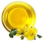 1 Gallon USDA Organic Pure Cold Pressed Evening Primrose Oil 12% GLA - Image 3