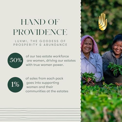 Luxmi Estates Turmeric Time-Out Herbal Tea 25 Tea Bags Pack - Image 9