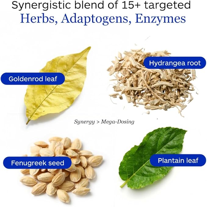 Kidney Support - Image 4