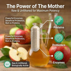 Herbtonics Raw Apple Cider Vinegar Capsules 1500mg - Image 4