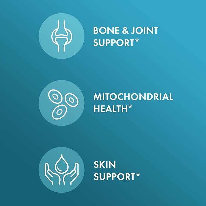 Dr. Mercola Joint Formula - Image 4