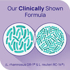 RepHresh Pro-B Probiotic Feminine Supplement - Image 7