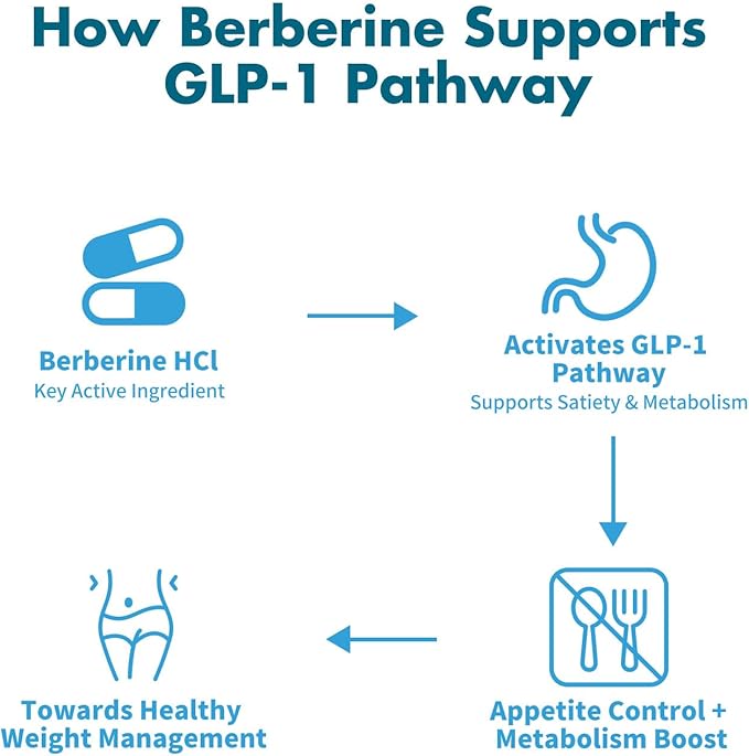 GLP-1 Supplement – High Potency Berberine HCl 1500mg - Image 4