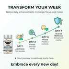 Probase Nutrition Longevity Pure NMN Capsules 60 Count - Image 2