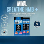 Animal Creatine HMB Powder – 3g myHMB + 5g Creatine - Image 2