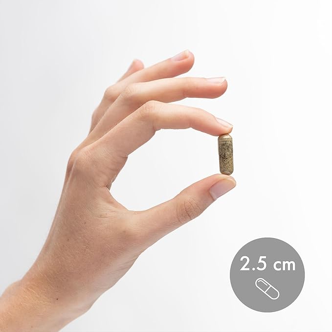 Dr. Mercola Herbal Immune Support, 30 Servings, Dietary Supplement, Supports - Image 6