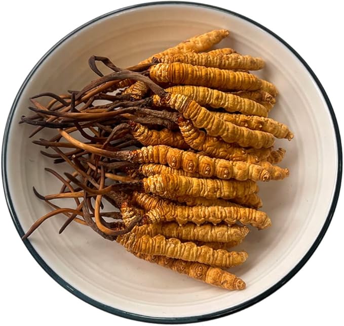10 Gram 100% Wild Himalayan Cordyceps Sinensis Chinese Caterpillar Fungus by Unknown