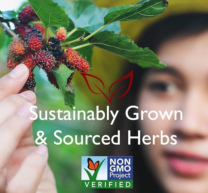 Bravo Tea Energy & Stamina Herbal Tea Caffeine Free, 20 Tea Bags - Image 3