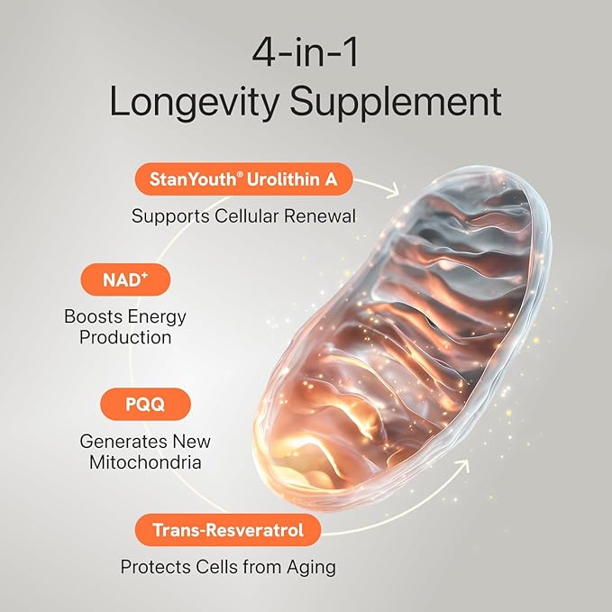 Gynable Patented Urolithin A NAD+ Complex, Nicotinamide | Trans-Resveratrol & - Image 3