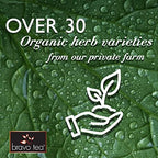 Bravo Tea Triple Detox Herbal Tea Caffeine Free, 20 Tea Bags - Image 4