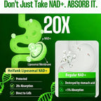 1PCSLumine Organics NAD+ Supplement - Image 6