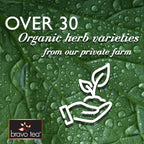 Bravo Tea Energy & Stamina Herbal Tea Caffeine Free, 20 Tea Bags - Image 4