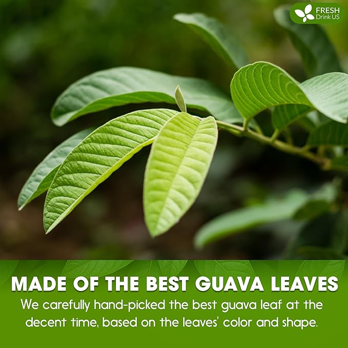 Premium 1.1oz Guava Leaf Pure Powder | Supports Stronger Digestion, Blood Sugar - Image 5