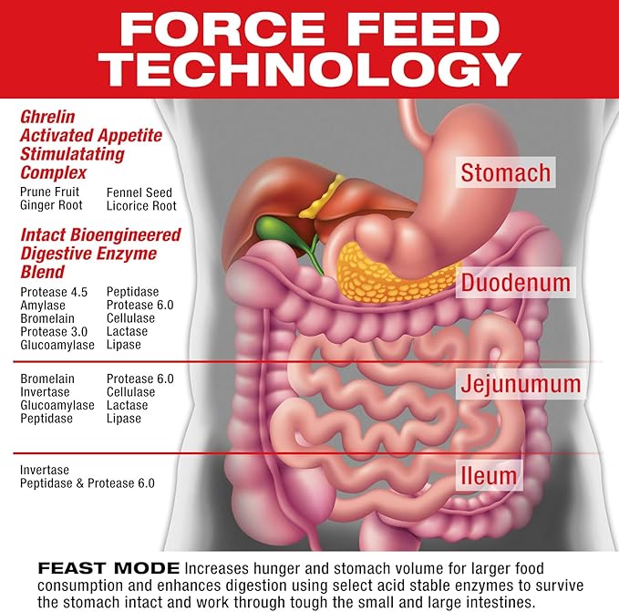 MuscleMeds Feast Mode Appetite Stimulant Weight Gain Pills Digestive Enzymes - Image 3