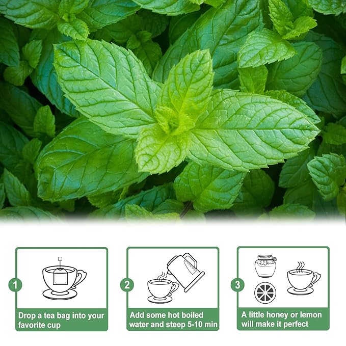 TEARELAE - Spearmint Tea - 1.5g x 50 Count - 100% Pure Spearmint Leaves - - Image 5