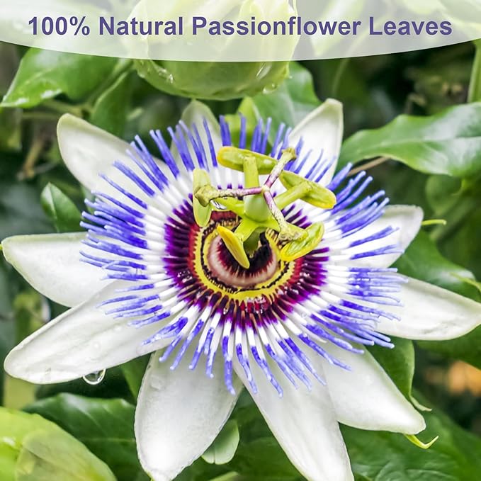 TEARELAE - Passion Flower Tea - Image 2