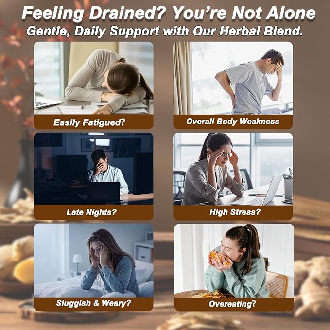 Ginseng Five Treasures Kidney Tea Formula - Image 4