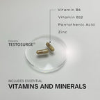 EPIC-T Support Formula – 60 Servings | Vegan, Gluten-Free, Soy-Free Supplement - Image 3