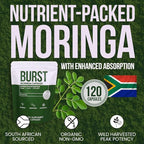Burst 100% Organic Moringa Capsules – Supports Energy, & Vitality | Pure - Image 4