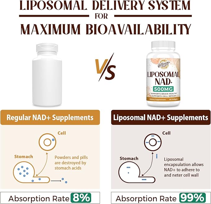Liposomal NAD+ 500 MG Supplement, True NAD Plus Supplement, Superior Absorption - Image 3