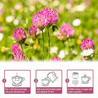 TEARELAE - Red Clover Tea Bags - Image 5