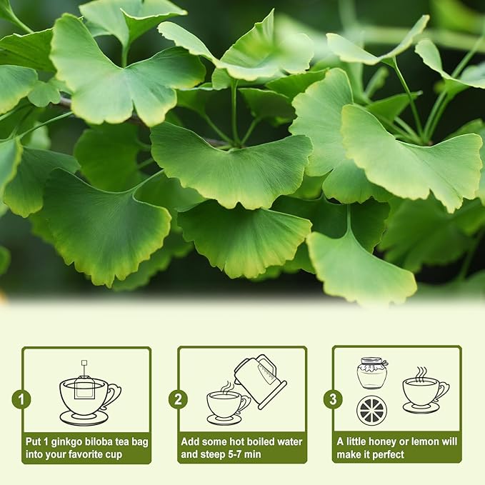 TEARELAE - Ginkgo Biloba Tea Bags - Image 5