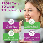 Milk Thistle, 50X Concentrated Seed Extract, 80% Silymarin, Liver Support - Image 6