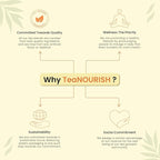 TeaNOURISH Turmeric Ginger Herbal Tea | Indian Superfoods | Aids Digestion & - Image 5