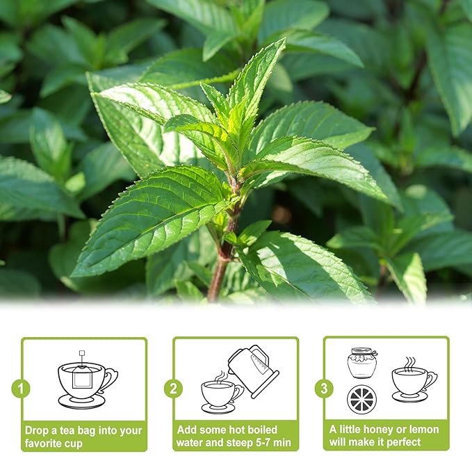 TEARELAE - Peppermint Tea Bags - Image 5