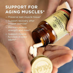 Solgar Muscle Maintenance Vitamin and Mineral Supplement, Support Muscle Mass - Image 4