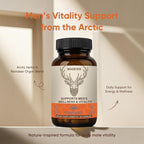 Men’s Vitality Supplement – Arctic Herbal & Reindeer Nutrient Blend – Daily - Image 2