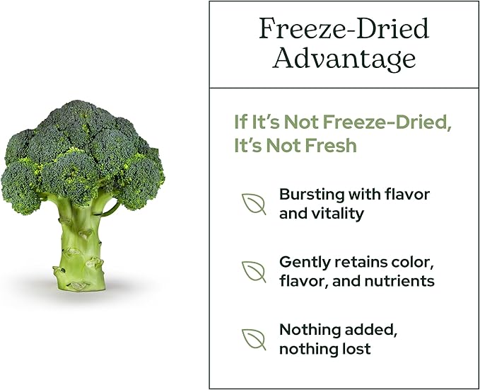 Eclectic Herb - Green Guard Powder | Natural Detox & Antioxidant Support | - Image 5