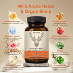 Men’s Vitality Supplement – Arctic Herbal & Reindeer Nutrient Blend – Daily - Image 4