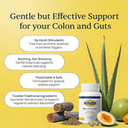 Simple Promise BellyFlush - Image 5