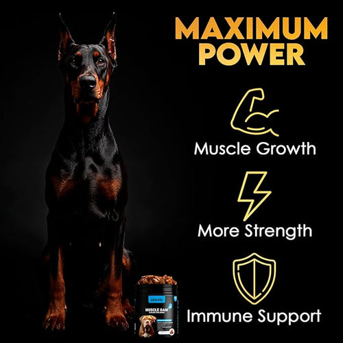 11-in-1 Muscle Gain Chews - Image 2
