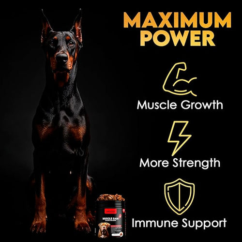 11-in-1 Muscle Gain Chews - Image 2