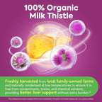 Milk Thistle, 50X Concentrated Seed Extract, 80% Silymarin, Liver Support - Image 2