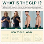 GLP-1 Supplement Support - Image 7