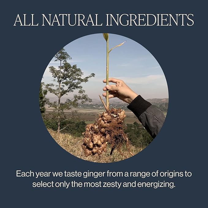 Rishi Tea Ginger Herbal Tea - Image 3