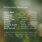 10‑Mushroom Blend Gummies – Clean, Non‑GMO Gummy – Daily Immune, Energy & Brain - Image 2