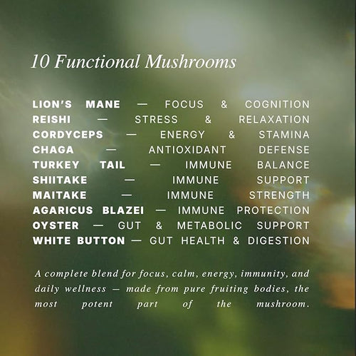 10‑Mushroom Blend Gummies – Clean, Non‑GMO Gummy – Daily Immune, Energy & Brain - Image 2