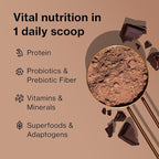 BODi Shakeology Whey-Based Protein Powder – Gluten-Free Superfood Shake - Image 4