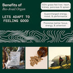 Adapt Naturals Organ Supplement, Bioavailable Grass Fed Beef Liver Capsules - Image 3