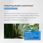 NutraChamps Mullein Leaf Extract - Image 2