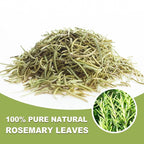 TEARELAE - Rosemary Tea - 1.5g x 50 Count - 100% Pure Rosemary Leaves Tea Bag - - Image 3
