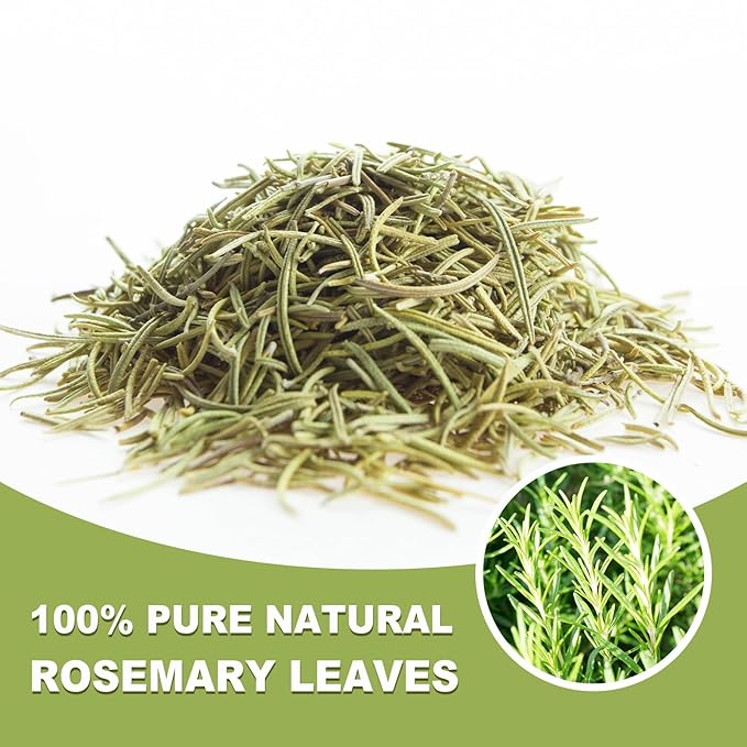 TEARELAE - Rosemary Tea - 1.5g x 50 Count - 100% Pure Rosemary Leaves Tea Bag - - Image 3