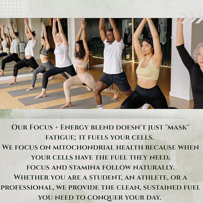 Focus + Energy + Performance Support-6-in-1 Mushroom Nootropic & Mitochondrial - Image 5