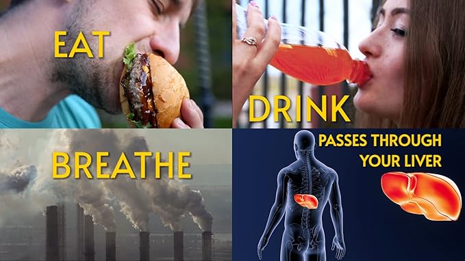 Liverite Liver Aid 60 Tablets, Supports Healthy Liver Function, Physical Energy - Image 4