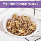 TEARELAE - Hyssop Tea - Image 3