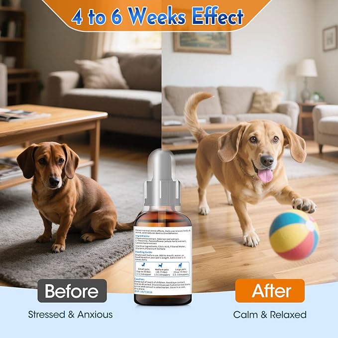 1.76 Fl Oz Calm The Eff Down for Dog - Image 8